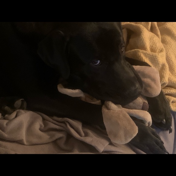 🤸‍♀️📬📮SHIP NEXT BUSINESS DAY!📮📬🤸‍♀️ - Picture 5 of 10